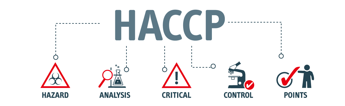 フードセーフティとは 義務化されたhaccpも解説 ワークプレイスdx