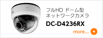 DC-D4236RX